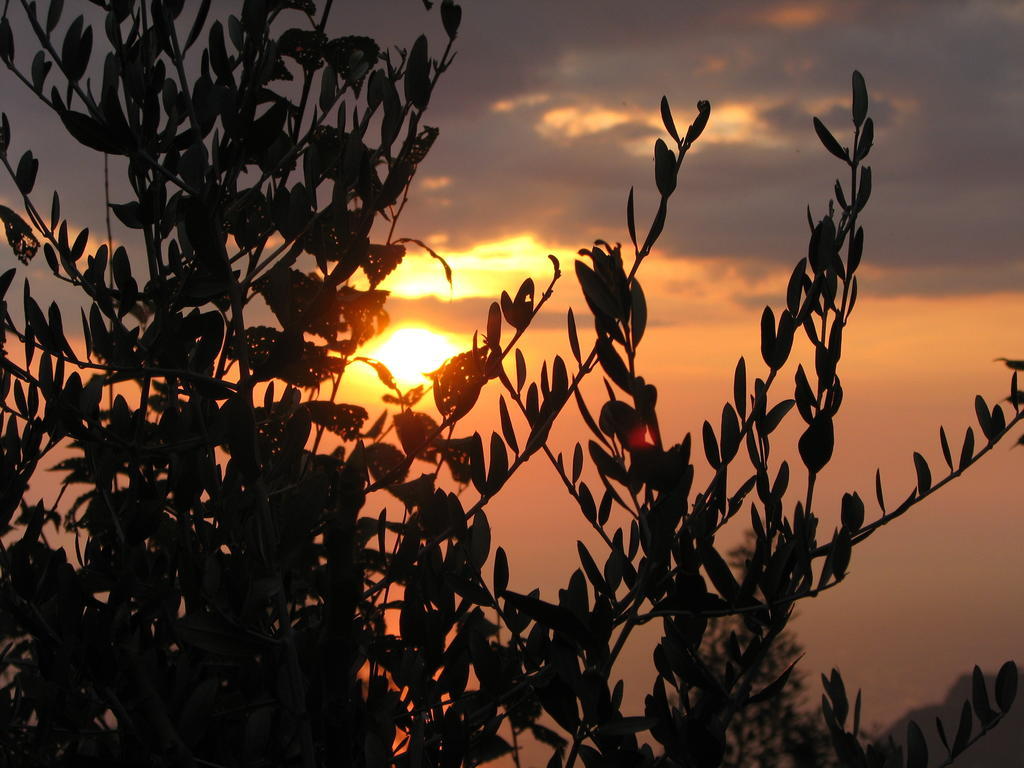 Cilento Bed & Breakfast San Mauro Cilento Exterior photo