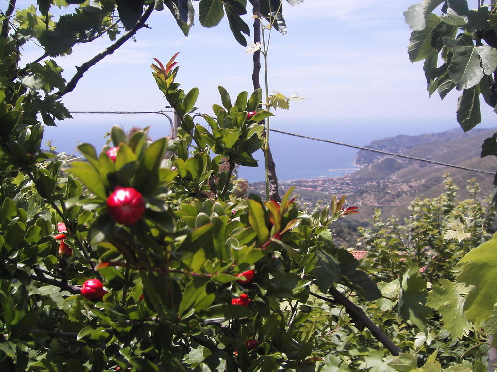 Cilento Bed & Breakfast San Mauro Cilento Exterior photo